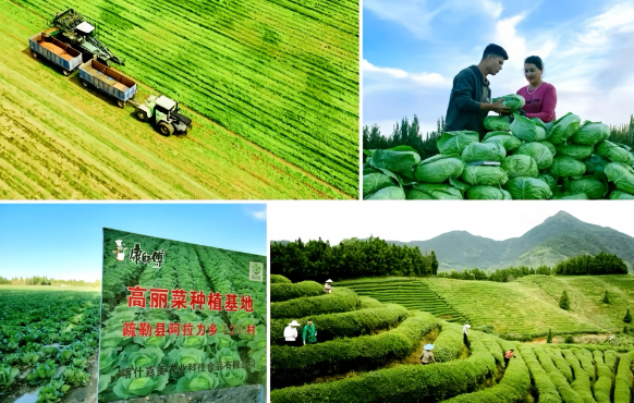 QQ20250325-145909